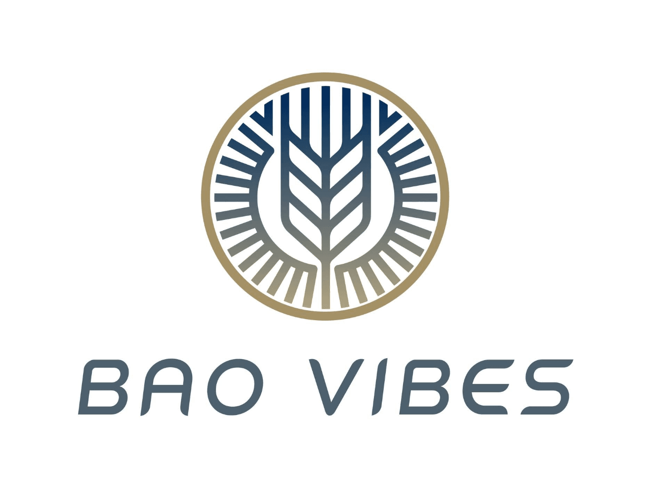 Baovibe